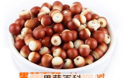 芡实四种人不能吃 鸡头米的营养价值与功效图片