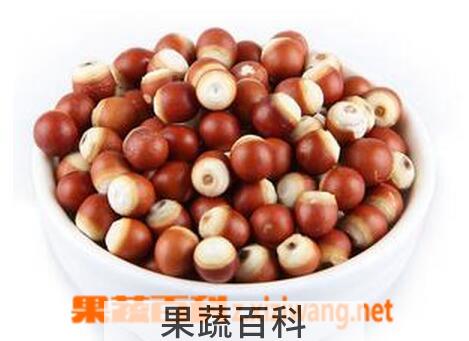 果蔬百科鸡头米的营养价值与功效