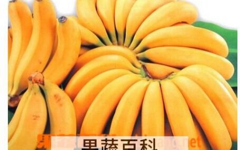 香蕉和什么不能一起吃会中毒 香蕉和什么不能一起吃 禁忌