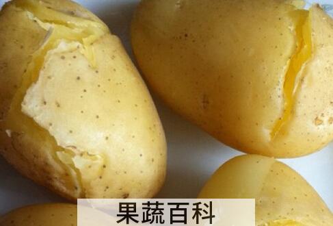果蔬百科蒸土豆的营养价值与功效