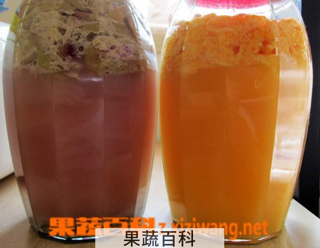 果蔬百科橘子酒