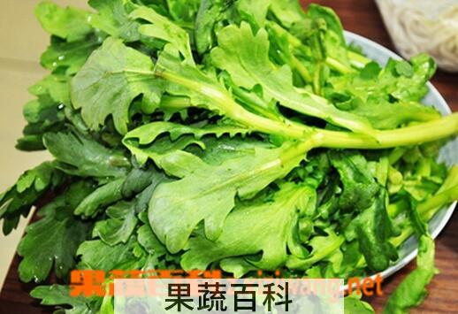 果蔬百科茼蒿的营养价值与功效