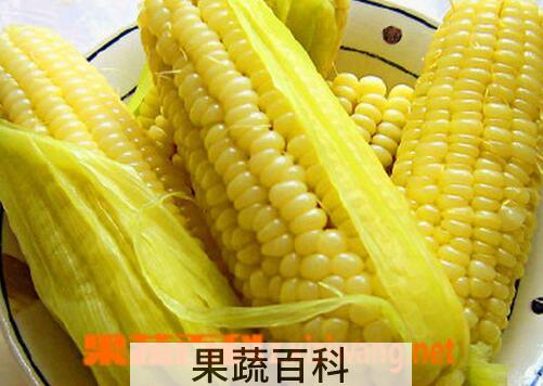 果蔬百科鲜玉米的功效与作用