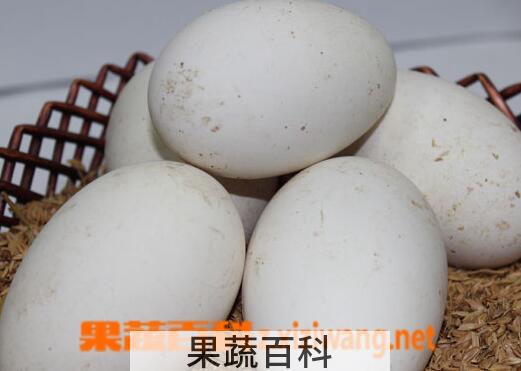果蔬百科吃鹅蛋的好处有哪些