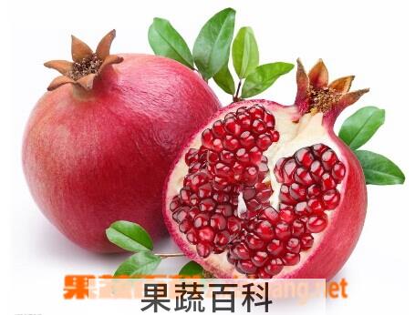 果蔬百科石榴子