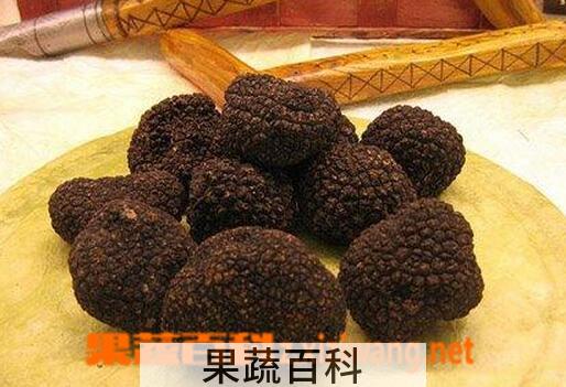 果蔬百科松露的营养价值