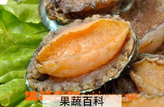 果蔬百科珍珠鲍鱼与鲍鱼的区别
