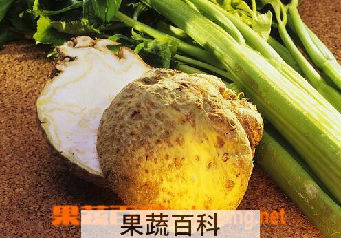 果蔬百科根芹的功效与作用