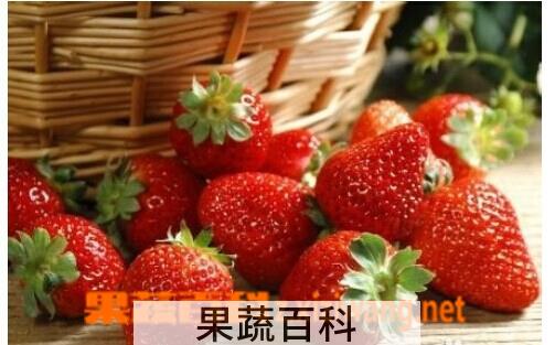 果蔬百科菠萝莓