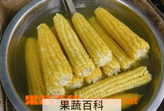 果蔬百科煮玉米需要多长时间