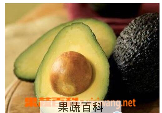 果蔬百科鳄梨