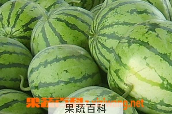 果蔬百科夏天如何挑选西瓜