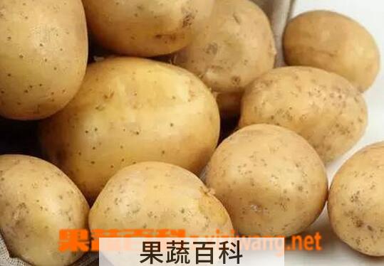 果蔬百科土豆怎么保存