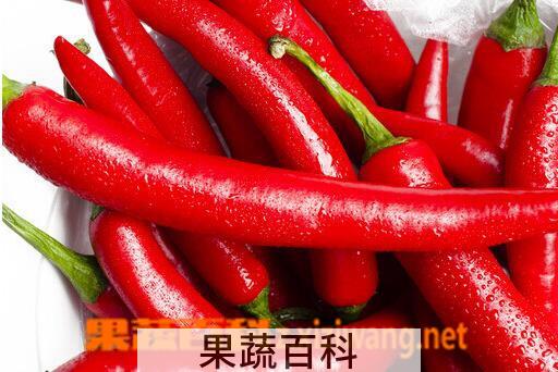 果蔬百科切辣椒辣到手怎么办
