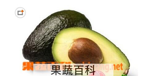 果蔬百科牛油果