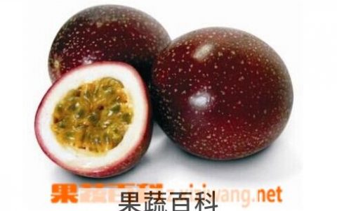 鸡蛋果的功效与作用和禁忌 鸡蛋果的功效与作用图片