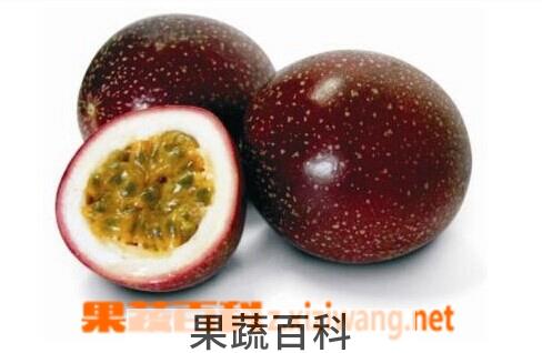 果蔬百科鸡蛋果