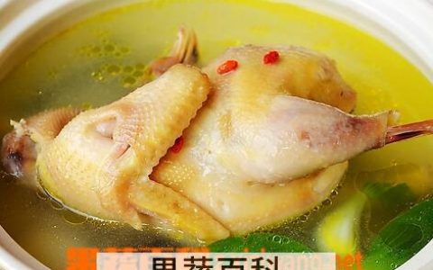 老母鸡的营养好吗 老母鸡的营养价值高吗