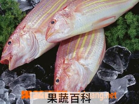 果蔬百科金线鱼的功效与作用