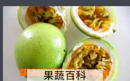 果蔬百科鸡蛋果