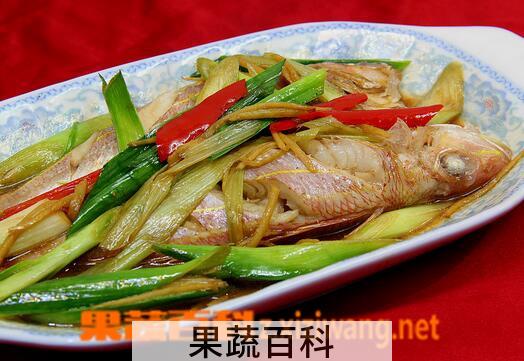果蔬百科金线鱼怎么吃