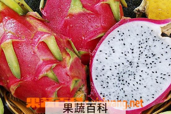 果蔬百科多吃火龙果的好处