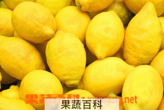 果蔬百科如何挑选柠檬