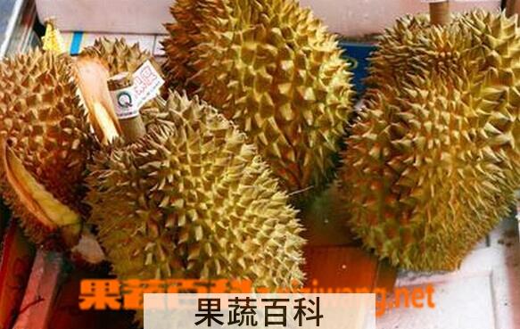 果蔬百科挑选榴莲