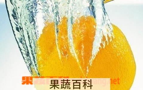 果蔬百科柠檬水