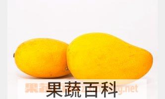 果蔬百科芒果