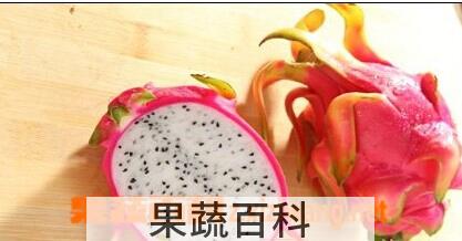 果蔬百科火龙果