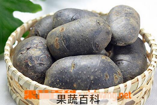 果蔬百科黑土豆的功效与作用