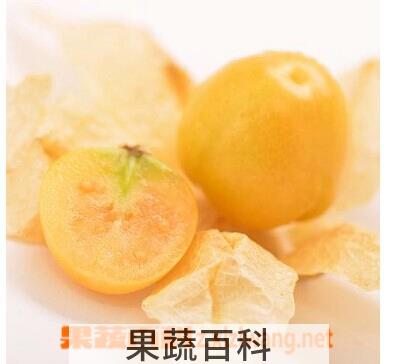 果蔬百科含羞果