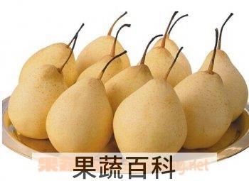 果蔬百科梨子