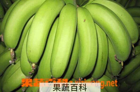 果蔬百科生香蕉如何催熟