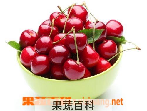 果蔬百科樱桃