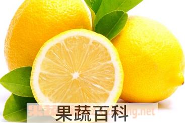果蔬百科柠檬