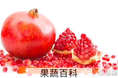 果蔬百科石榴