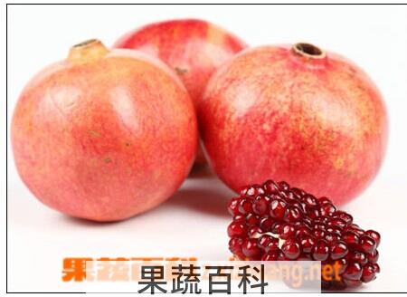 果蔬百科石榴