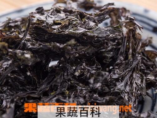 果蔬百科紫菜的药用功效与用法