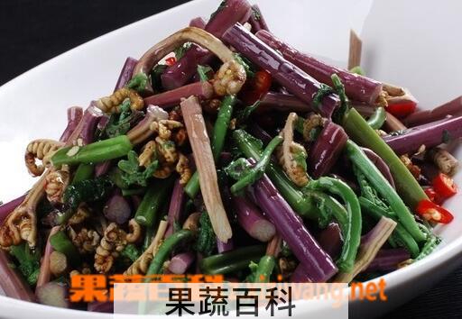 果蔬百科蕨菜的药用价值与用法