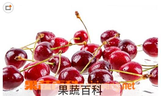 果蔬百科樱桃