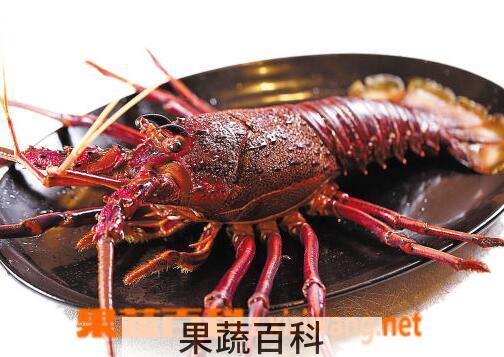 果蔬百科澳洲龙虾的功效与作用