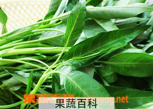 果蔬百科吃空心菜能降血压吗