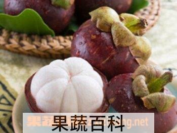 果蔬百科山竹