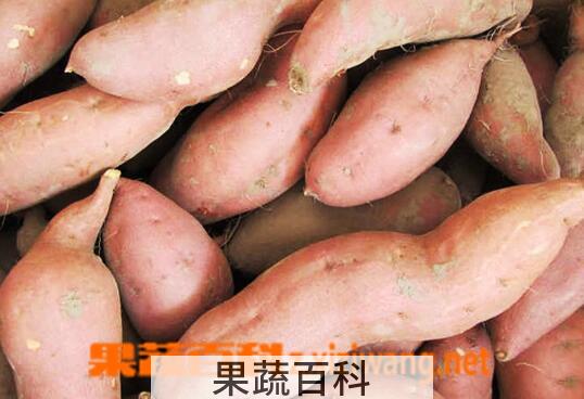 果蔬百科吃地瓜的好处有哪些