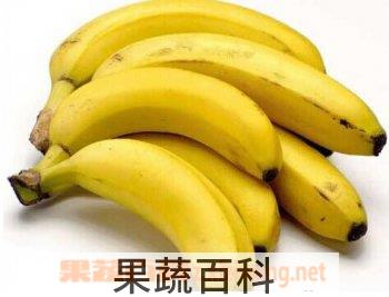 果蔬百科香蕉