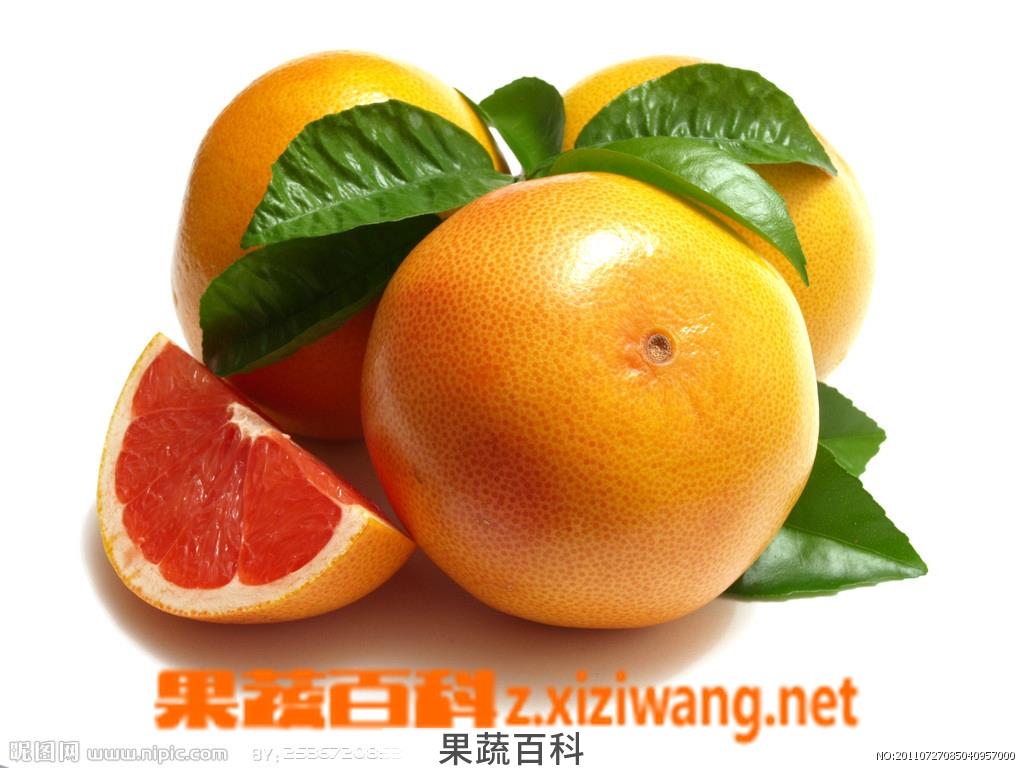 果蔬百科西柚