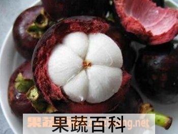 果蔬百科山竹