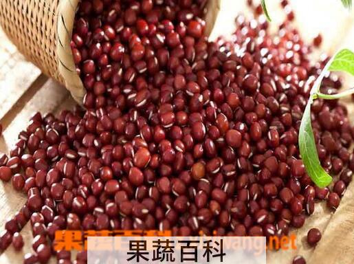 果蔬百科小豆的功效与作用